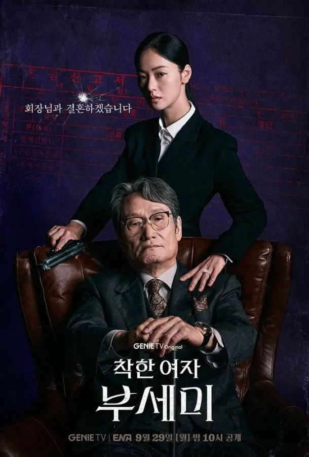 Госпожа Инкогнито / Хорошая женщина Бу Се Ми 1 сезон смотреть онлайн бесплатно в хорошем качестве