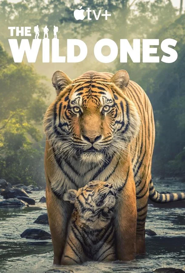 В мире дикой природы 1 сезон смотреть онлайн бесплатно в хорошем качестве