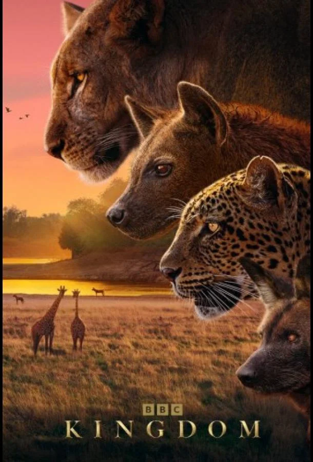 Царство животных 1 сезон смотреть онлайн бесплатно в хорошем качестве